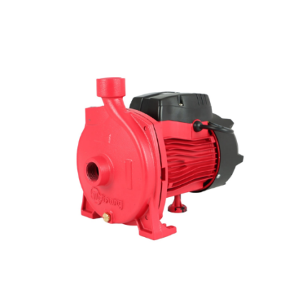 Bomba Centrífuga Motorarg BC100 – 1 HP - 380 V – Altura máx. 32 m